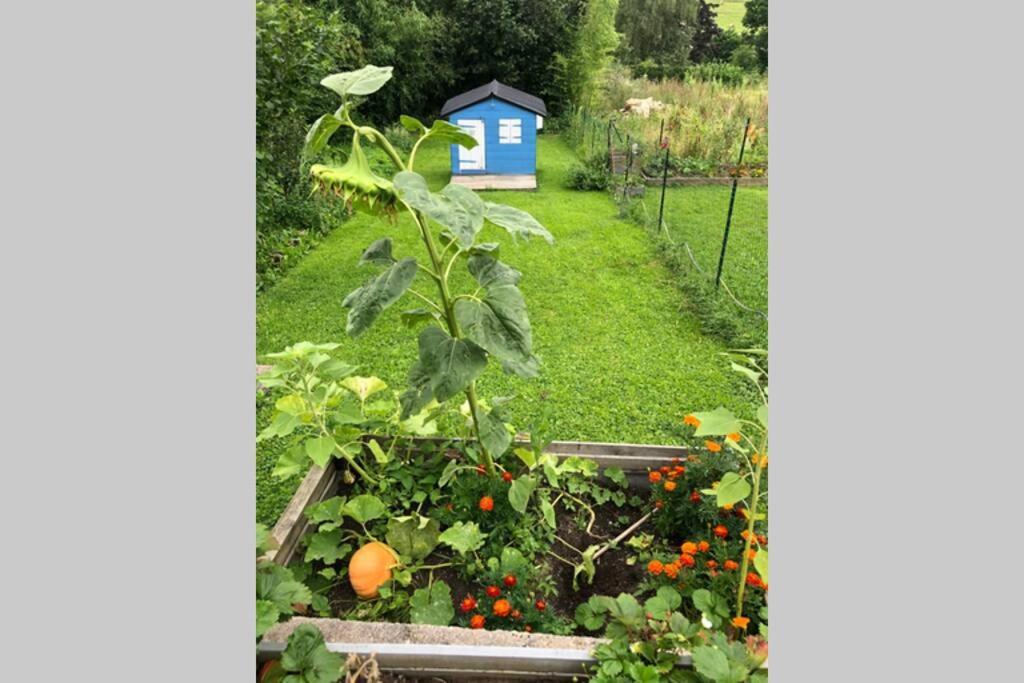 Maison Au Coeur Du Vignoble Jurassien 90 M2 Lavigny Dış mekan fotoğraf